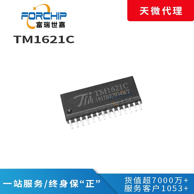 {TM1621C}