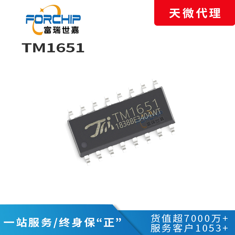 TM1651